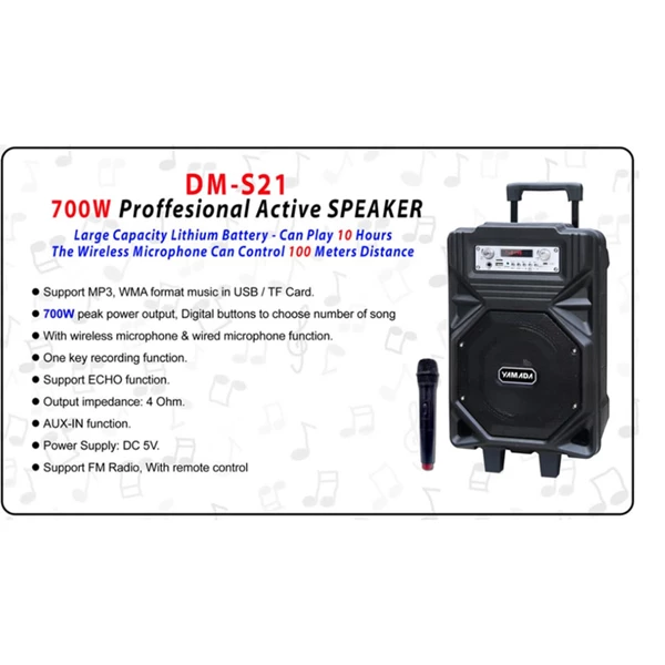 Yamada DM-S21 Speaker portable  Bluetooth Professional Active Karaoke Original